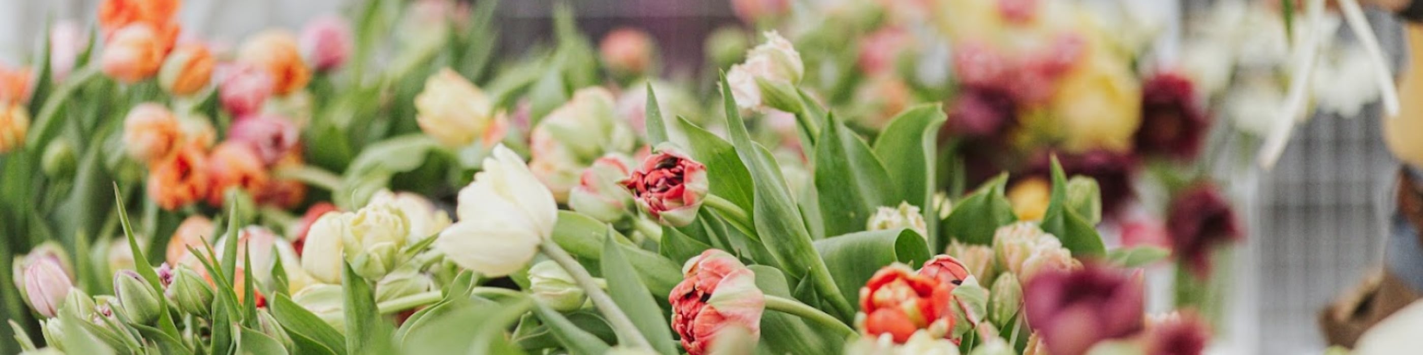 The Ottawa Flower Market