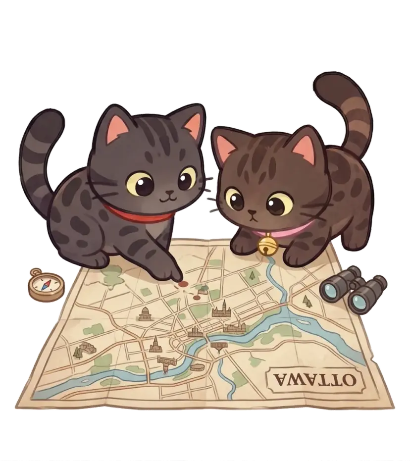 Chico and Rita exploring a map of Ottawa