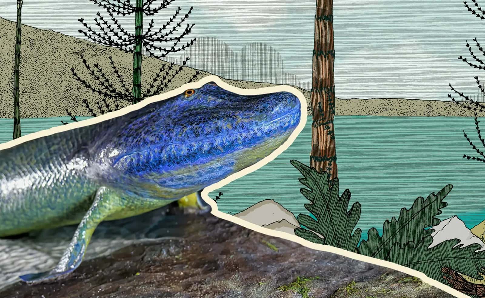 Life onto Land: The Devonian