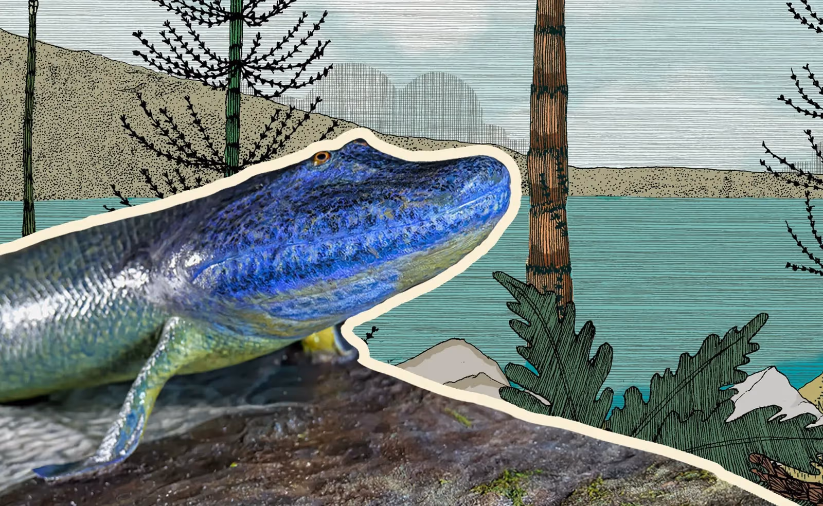 Life onto Land: The Devonian