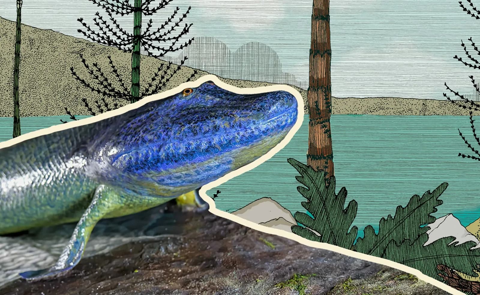Life onto Land: The Devonian