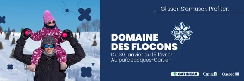 Snowflake Kingdom (Domaine des flocons)