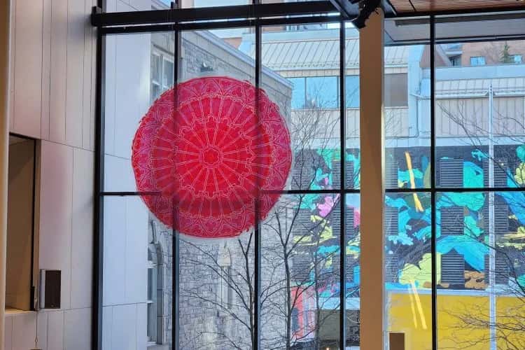 Diatom Rose Window