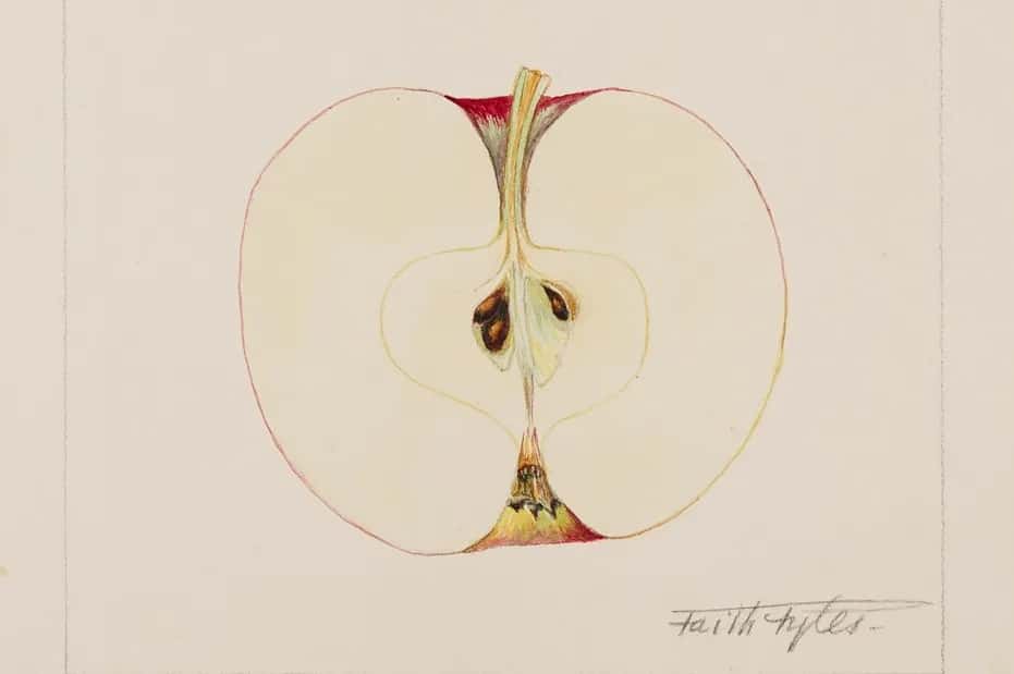 Faith Fyles: In Full Bloom