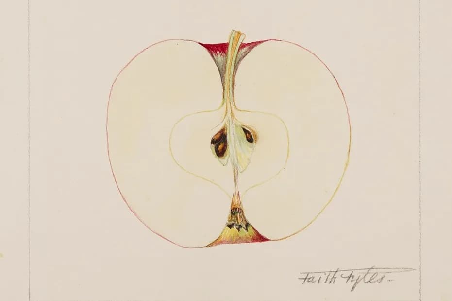 Faith Fyles: In Full Bloom