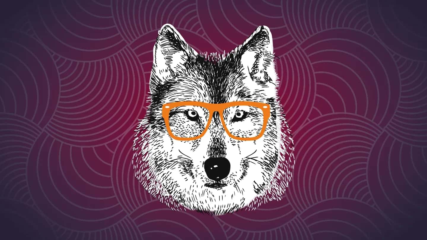 WolfGANG Sessions #28
