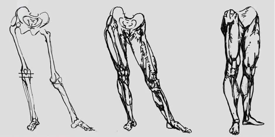 Life Drawing