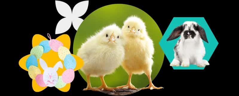Easter at the Farm