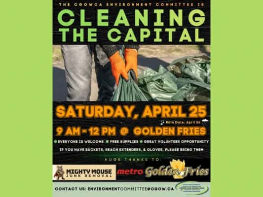 Cleaning The Capital