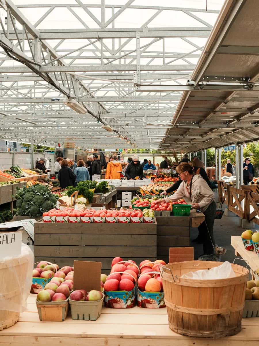 Outdoor Market Season