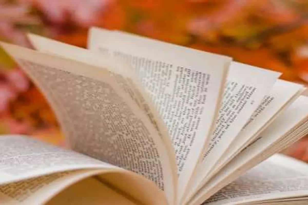 Novel Conversations