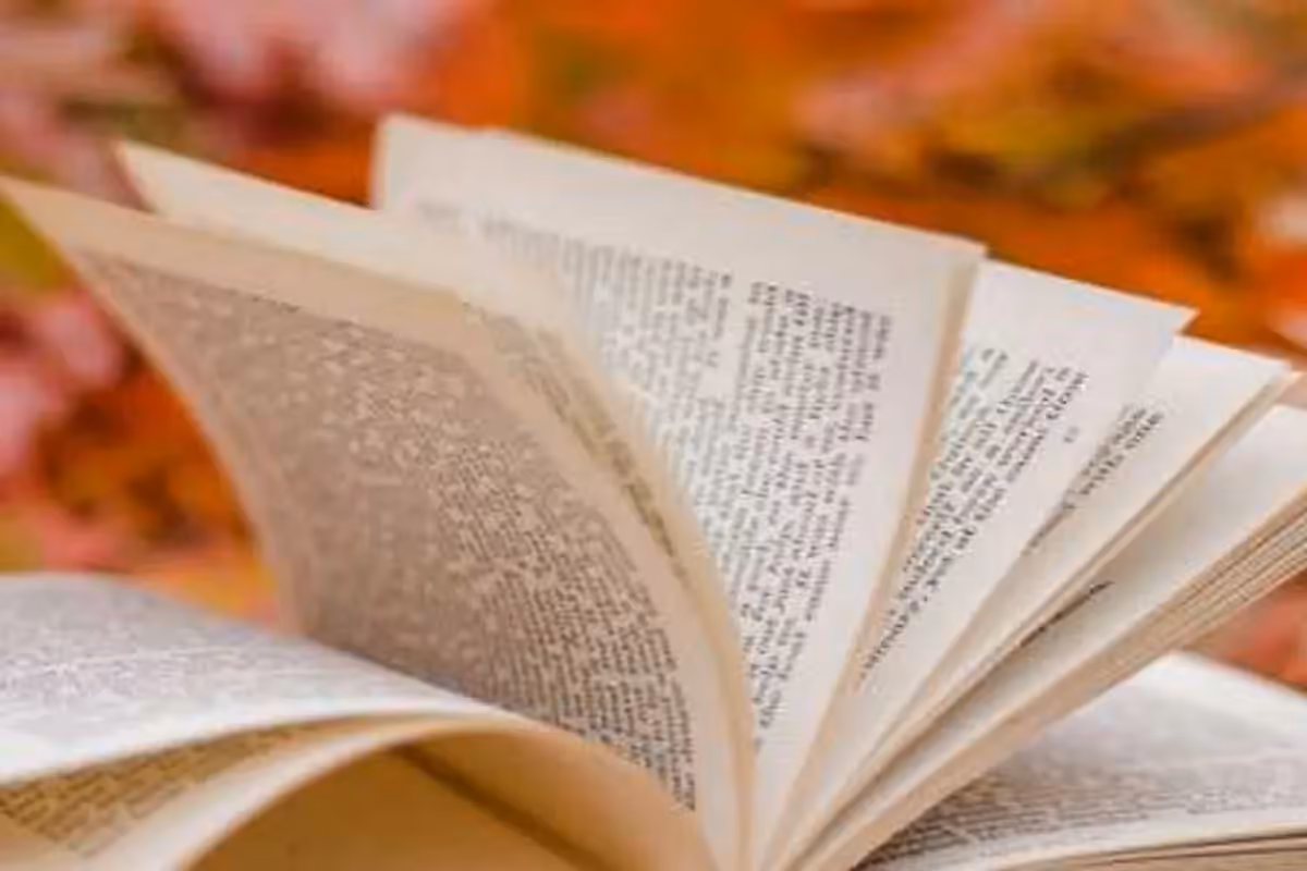 Novel Conversations