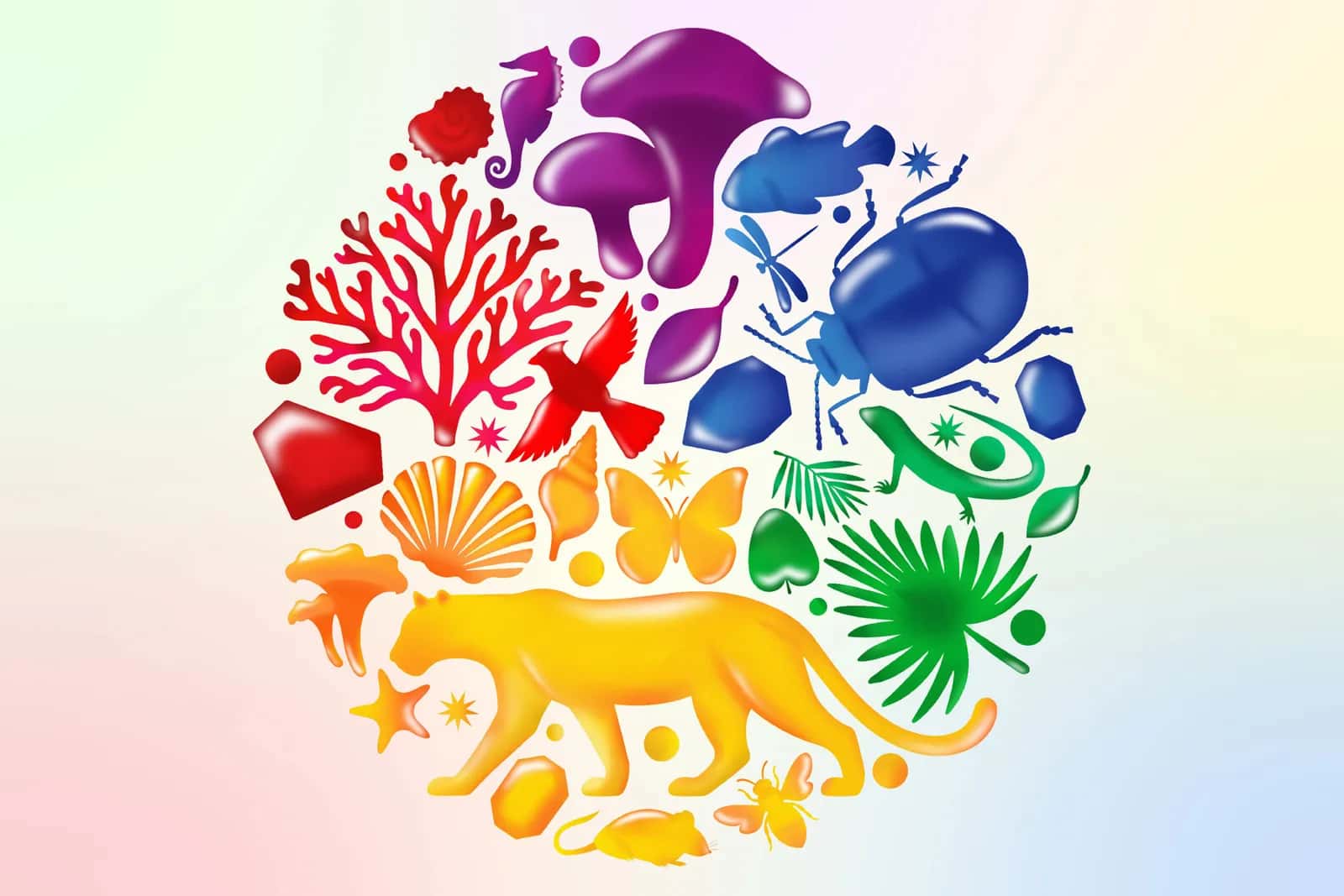 Wild Colour