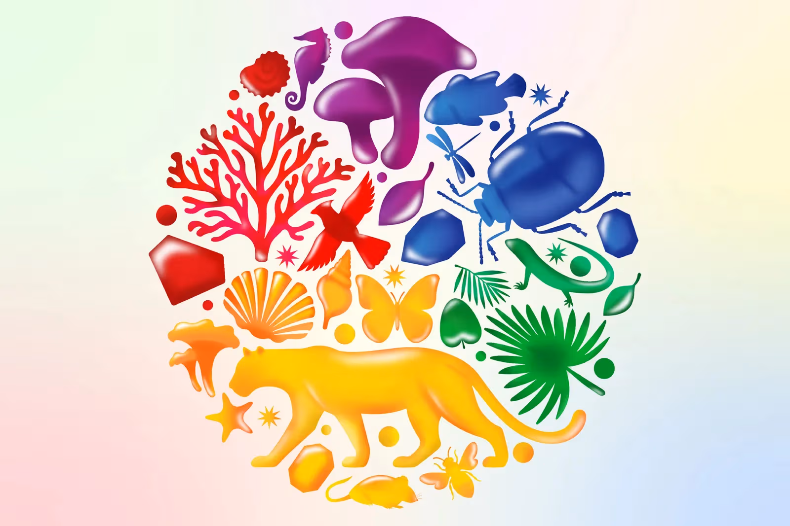 Wild Colour