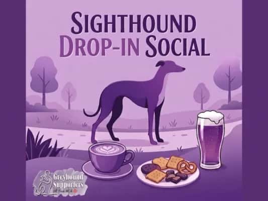 Sighthound Drop-In Social