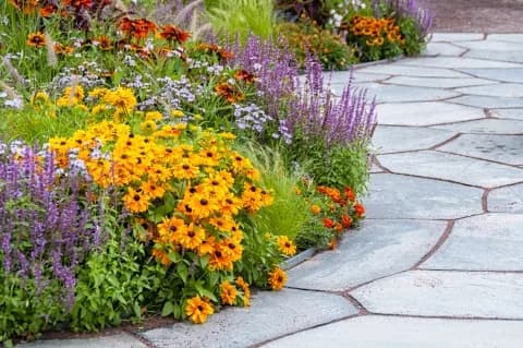Orléans Blooms