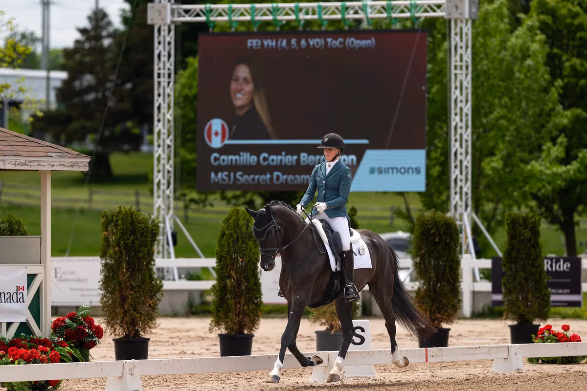 Ottawa Dressage Festival