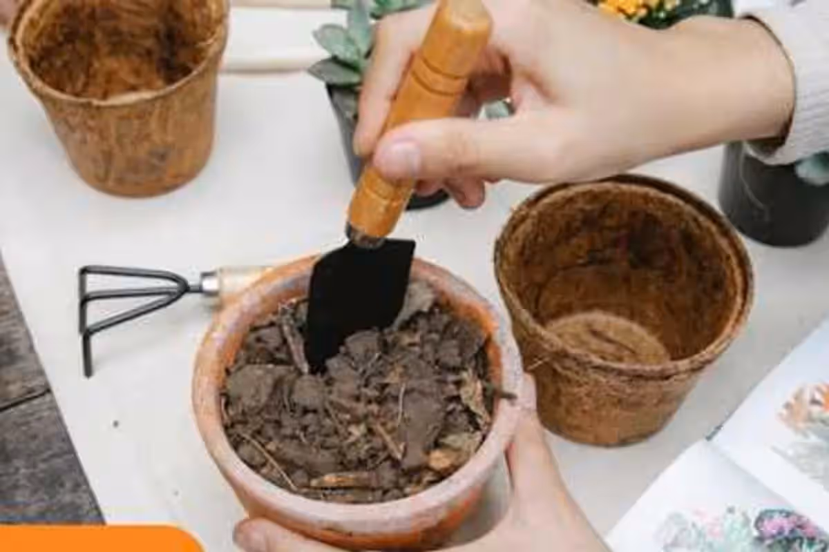 Plant Swap/ Échange de plantes