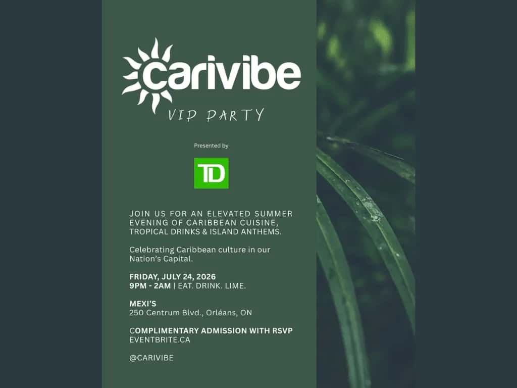Carivibe VIP Party