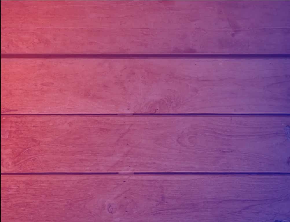 Songs from the Shed