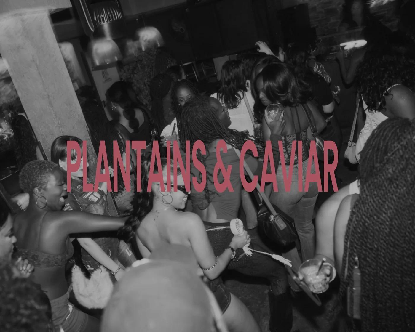 Plantains & Caviar @ MEND: A Plasticscapes Event