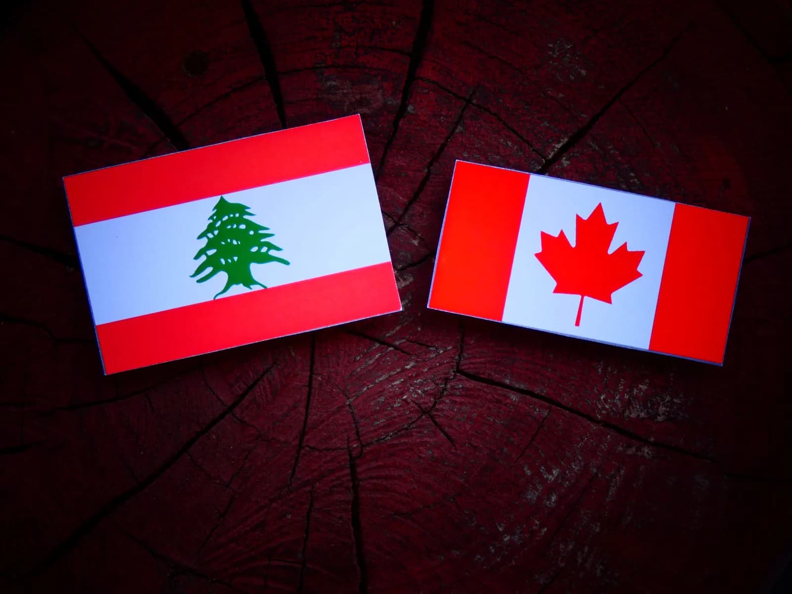 Third Annual Lebanese-Canadian Military Remembrance Ceremony