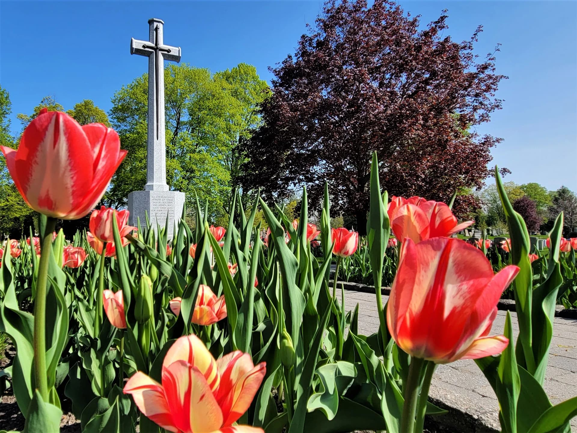 Beechwood Cemetery Ottawa - National Cemetery & Funeral Services