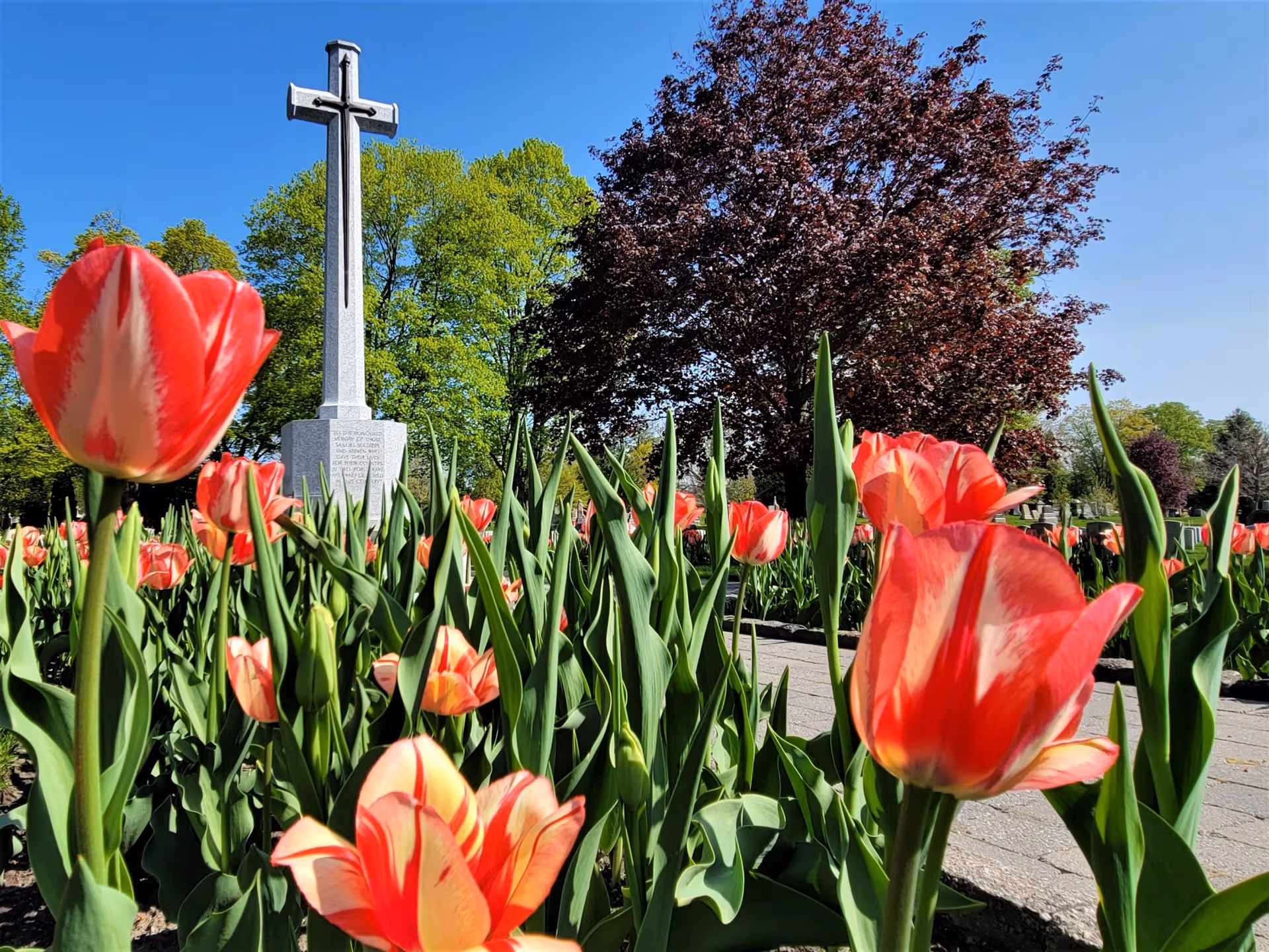 Beechwood Cemetery Ottawa - National Cemetery & Funeral Services