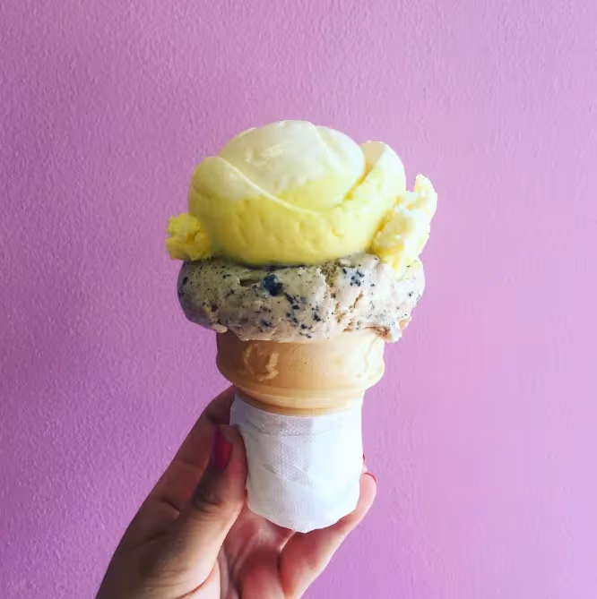Lois 'N' Frima's Ice Cream