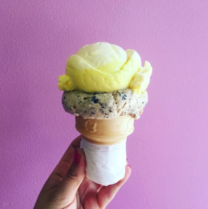 Lois 'N' Frima's Ice Cream