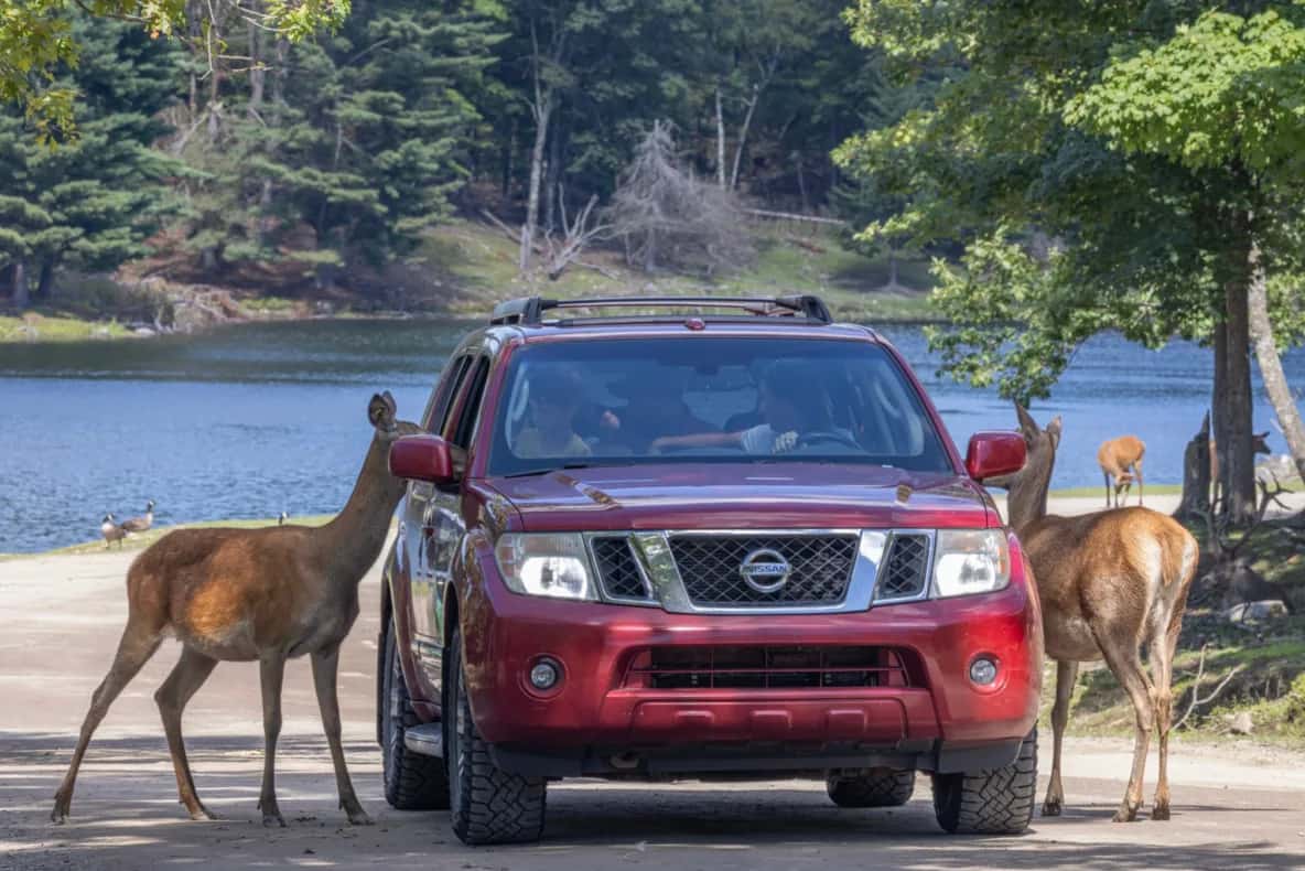Parc Omega