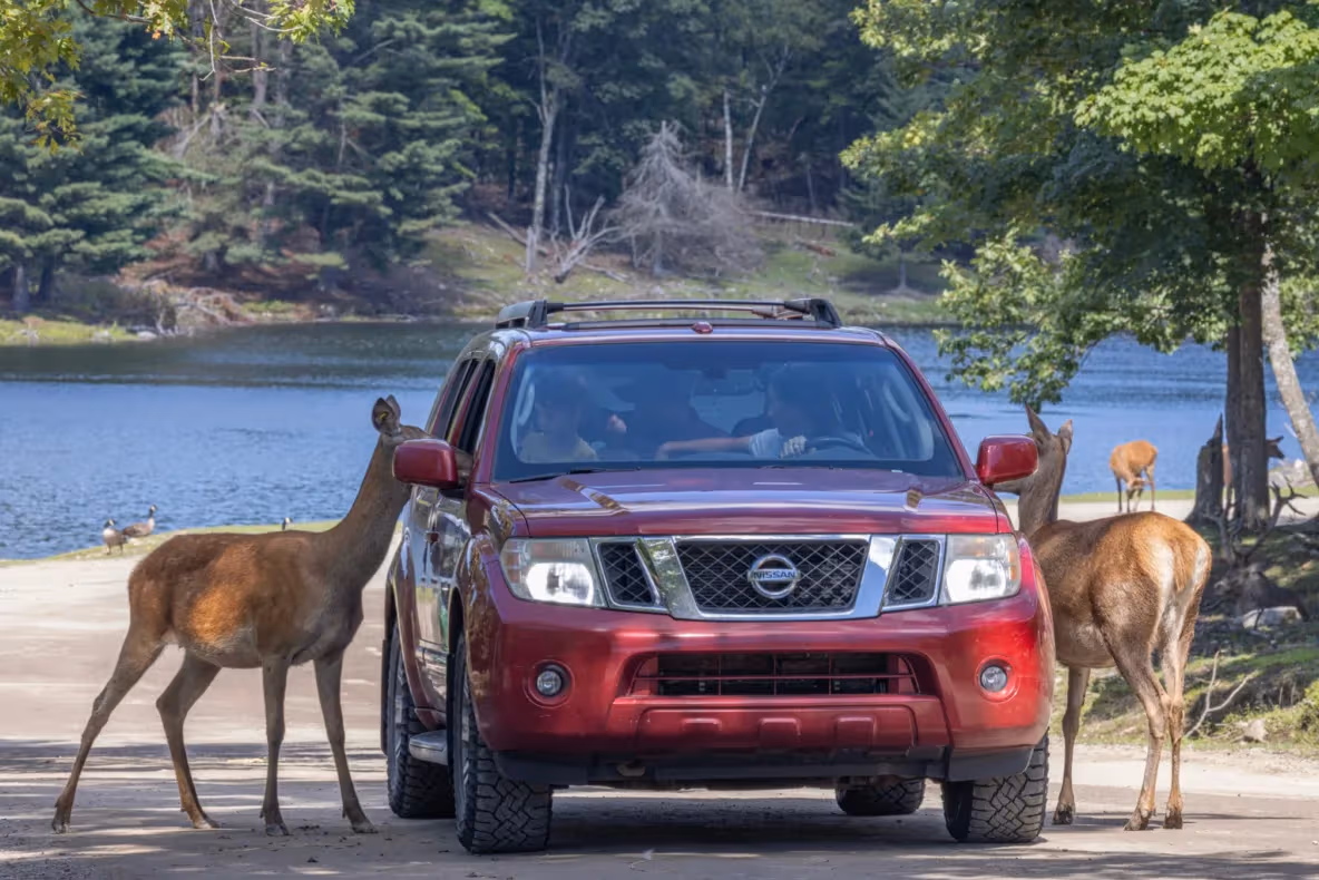Parc Omega