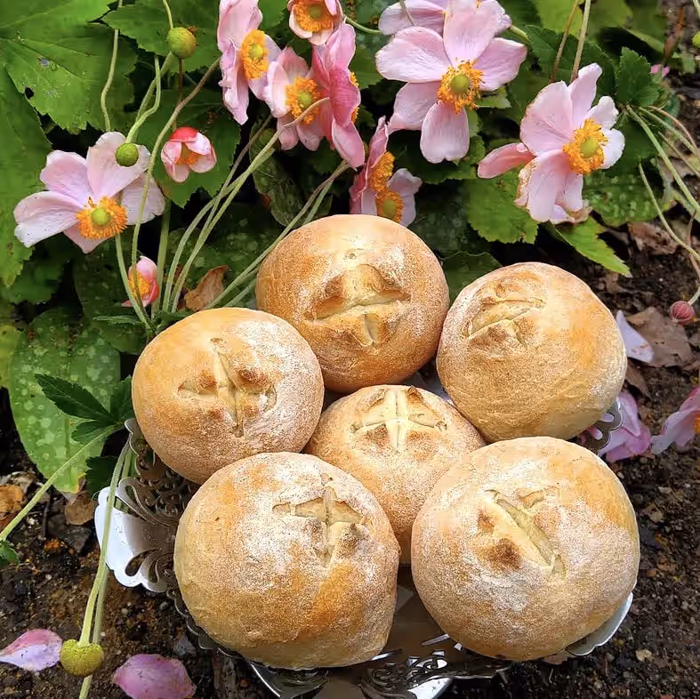 Pipolinka Bakery