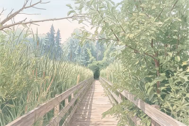 Stony Swamp