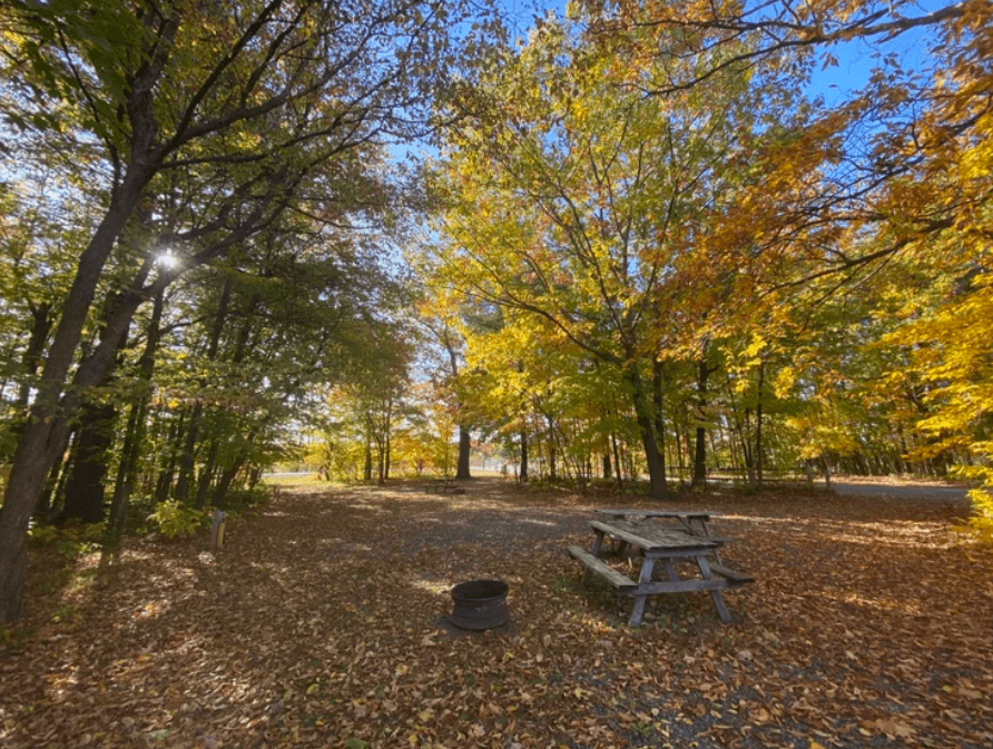 Wesley Clover Parks Campground