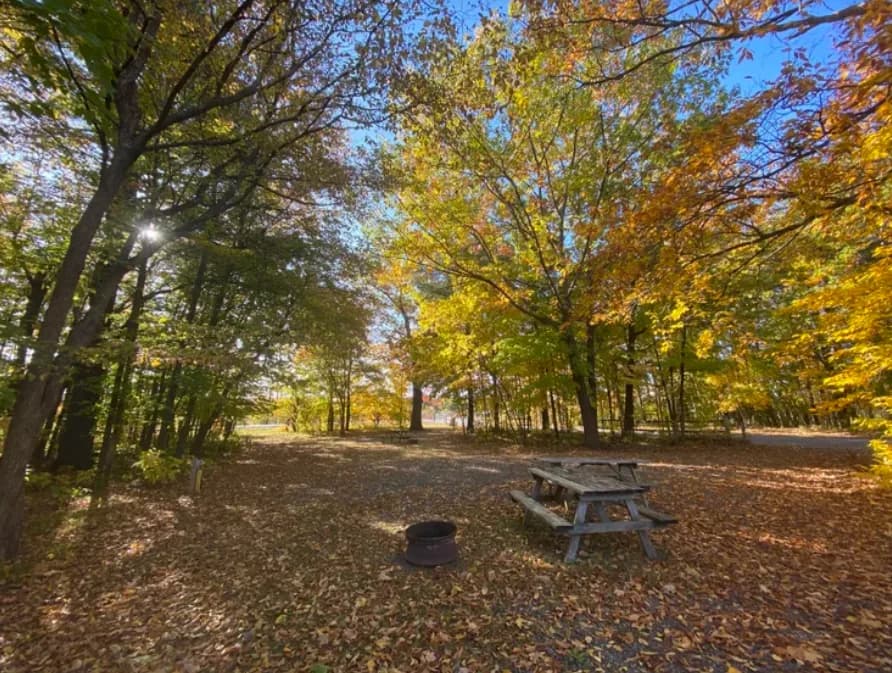 Wesley Clover Parks Campground