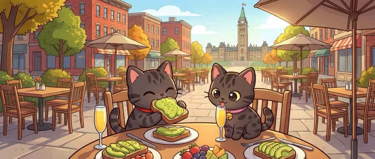 Best Brunch in Ottawa