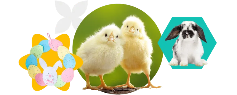 Easter at the Farm
