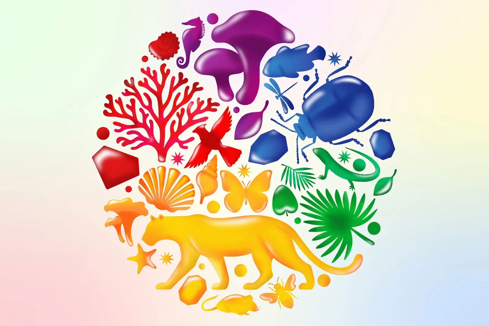 Wild Colour