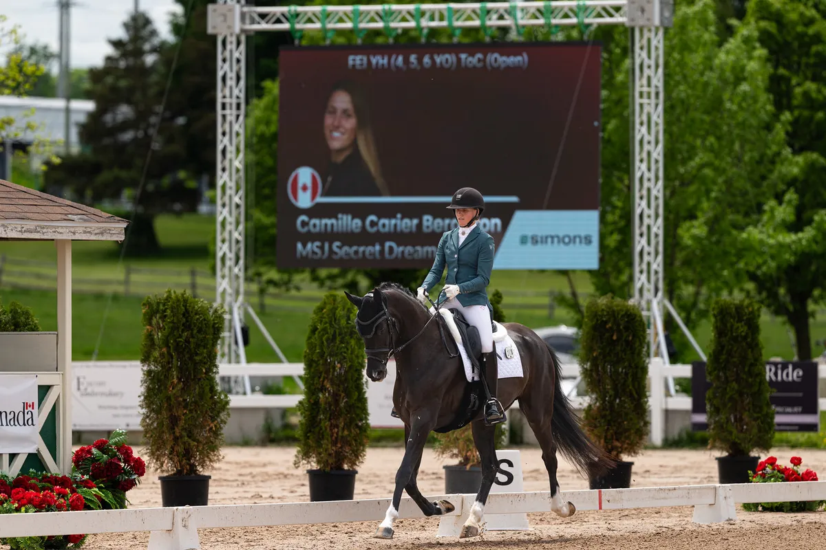 Ottawa Dressage Festival