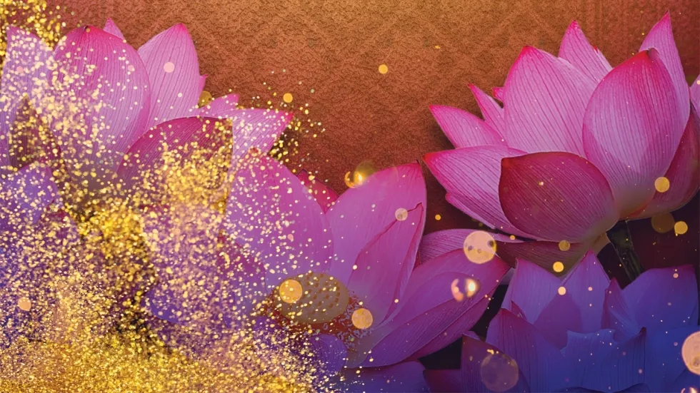 Desi Dhamaka: A Celebration of South Asian Arts & Culture