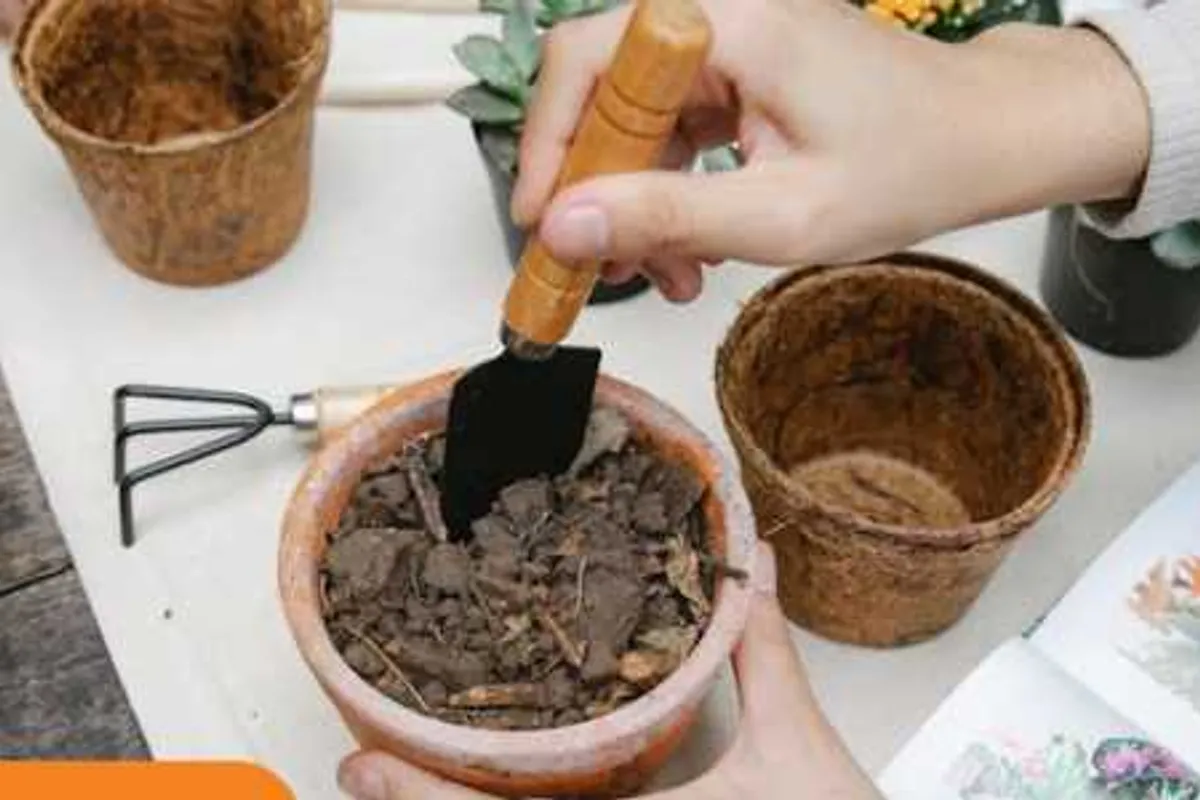 Plant Swap/ Échange de plantes