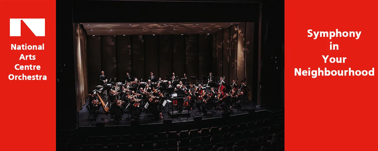 Symphony in Your Neighbourhood