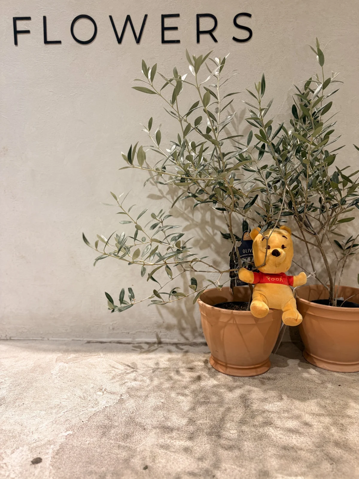 A Tea Tasting & Botanical Watercolour Evening in the Hundred Acre Wood