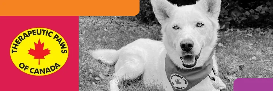 Therapy Dogs at the Library