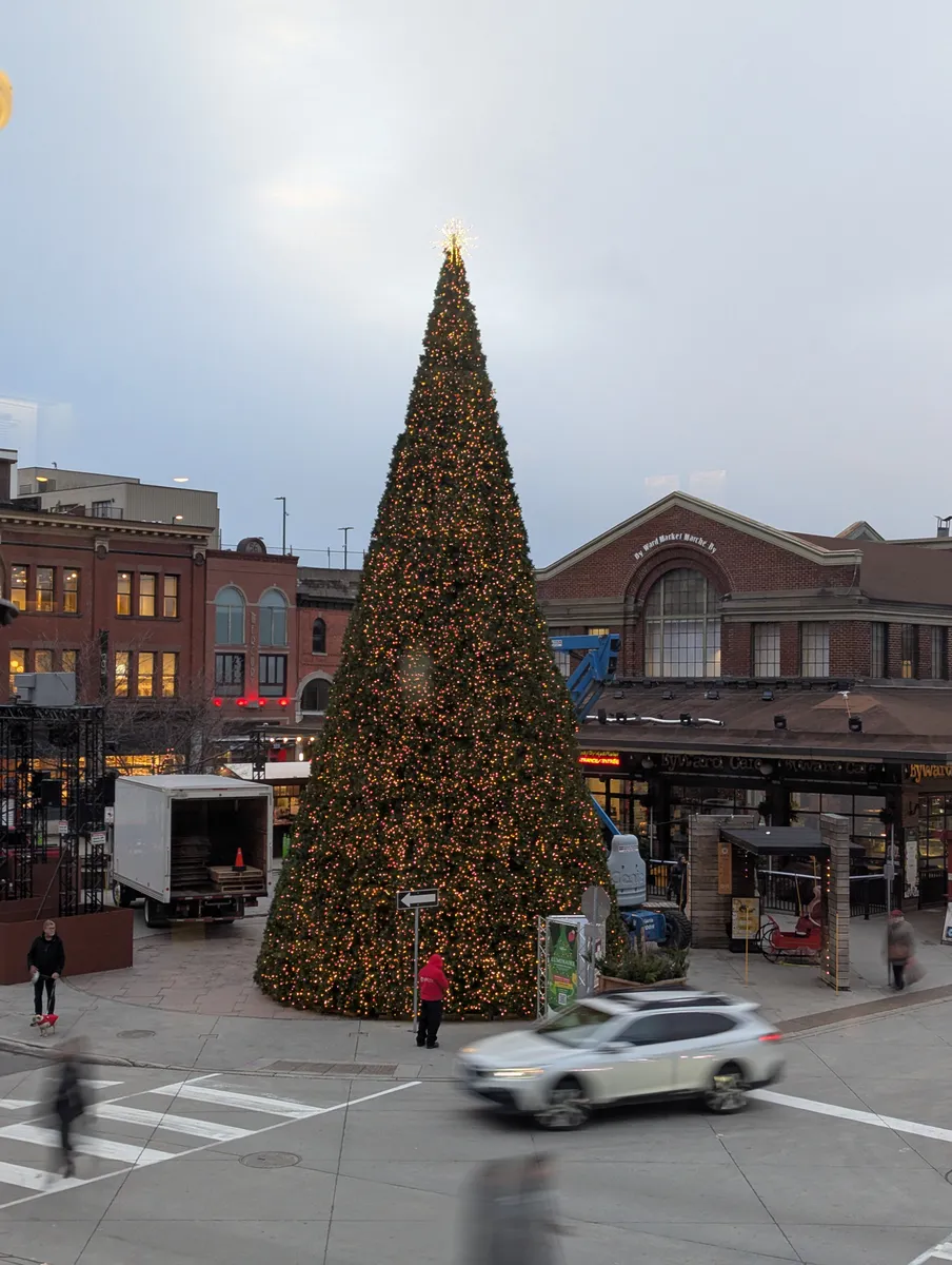 Tree Lighting Ceremony