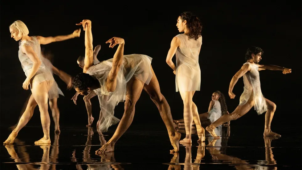 Deepstaria: Company Wayne McGregor